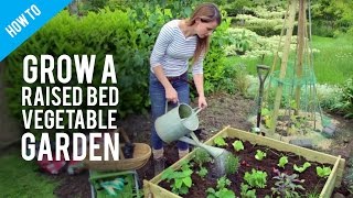 How to grow vegetables in raised bed gardens [upl. by Ahsimet208]