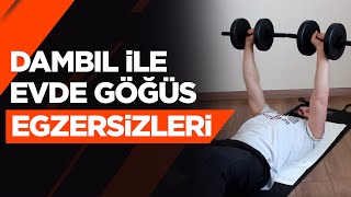 Evde Göğüs Egzersizleri  Dambıl [upl. by Adnilahs]