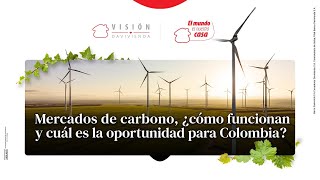 Mercados de carbono ¿cómo funcionan y cuál es la oportunidad para Colombia [upl. by Negam]