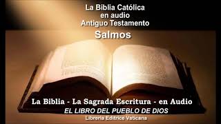 Antiguo Testamento Salmos 1 al 34 La Biblia Católica en audio [upl. by Nodnol]