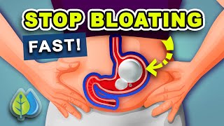 5 Ways to STOP Bloating Fast  How to Get Rid of Belly Bloating Fast [upl. by Georgianna]