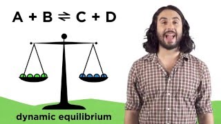 Chemical Equilibria and Reaction Quotients [upl. by Nickles]