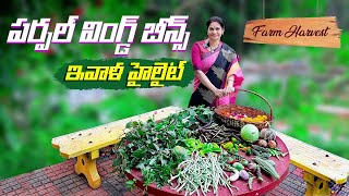 Farm Harvestకొన్ని పాతవి అయిపోయి  కొత్తవి మొదలౌతున్నాయి ​⁠MADGARDENER [upl. by Aitsirhc]