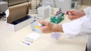 Delvotest® T plates Antibiotics residues testing kit for milk instructions for use [upl. by Nilkoorb]