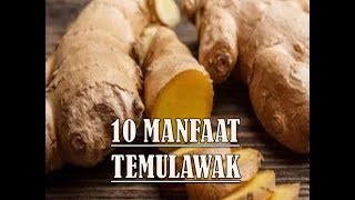 10 Manfaat Rebusan TEMULAWAK Untuk Kesehatan Dan Kecantikan Terbaru 2023 [upl. by Enamrahc]