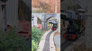 Beautiful day out at the Ouse Valley Light Railway [upl. by Miche]