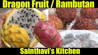 Dragon  Pitaya Fruit and Rambutan Fruit in Tamil  Tropical Fruit Exploration Sainthavis Kitchen [upl. by Savick]