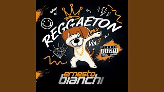 Reggaeton Mix Vol7 [upl. by Harobed]