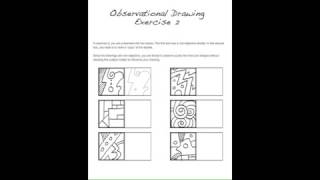 Observational Drawing Lesson [upl. by Yeltrab]