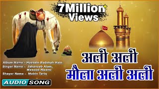 Ali Ali Maula Ali Ali  Beautiful Qawwali Video Song  Muharram Special Audio [upl. by Pufahl]