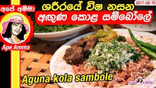 ★ ශරීරයේ විෂ නසන අඟුණ කොළ සම්බෝලේ Aguna kola sambole by Apé Amma [upl. by Haroppizt324]