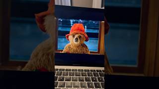 మేము Londonలో Paddingtonని కలిసాము😍 hamovlogs paddington london cute bear [upl. by Beall]