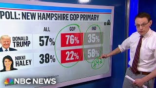 Poll Trump maintains lead over Haley in New Hampshire after DeSantis suspends campaign [upl. by Ahsemaj884]