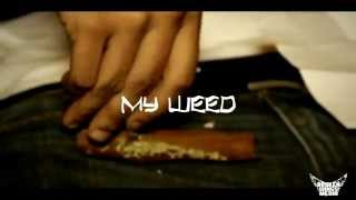 Money 6lu3  My Weed  BrokenWingsMed [upl. by Elleniad]