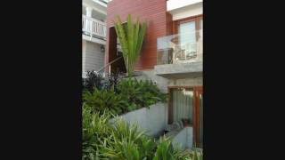 Cycads  Encephalartos whitelockii installation in Manhattan Beach California [upl. by Andria870]