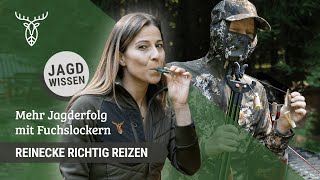 Reinecke richtig reizen Lockjagd mit Fuchslockern  Jagdtipps aus der Praxis [upl. by Garcon]