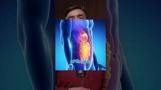 🔥 Understanding Gastric Reflux Tips to Ease Digestion 🍽️ [upl. by Darren]