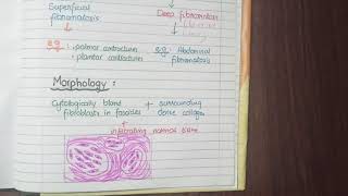 Fibromatosis Pathology [upl. by Anneh]