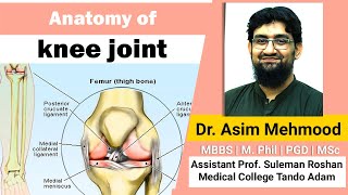 Anatomy of Knee Joint  Hindi  Urdu [upl. by Refitsirhc]