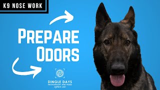 How to Prepare an Odor for AKC Scent Work K9 Nose Work [upl. by Ennaegroeg]