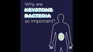 Discover the power of keystone singlestrain bacteria [upl. by Jerrilee334]