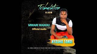 Nyasha Tandi  Mwari Wangu Tribulation Album [upl. by Akeret847]