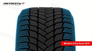 Michelin XIce Snow SUV ❄️ обзор шины и отзывы ● Автосеть ● [upl. by Wildee151]