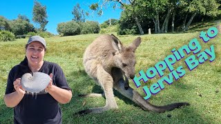 Hopping to Jervis bay  Episode 23 [upl. by Reibaj797]