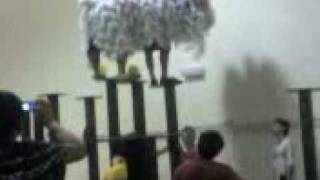 kwong ngai lion dance practice 光艺练习 [upl. by Ailicec]