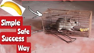 How to trap a mouse at homeEasy mouseRat TrapHomemade mouse trap5ମିନଟରେ ସବୁ ମୂଷା ଘରୁ ବାହାରିଯିବେ [upl. by Mellisent665]