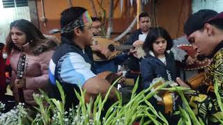 MI CUERPO YA ESTABA HERIDO  Compositores Ale De Guanajuato y Pluma Blanca  Cantautor Raúl Martínez [upl. by Affra452]