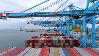 New record in container handling at APM Terminals MVII [upl. by Olsewski]