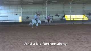 A bolting Percheron at a clinic [upl. by Geraint]