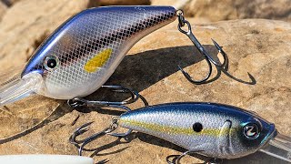 Summer Bass Fishing Crankbait VS UnderSpin [upl. by Stu]