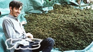 Swaziland Gold Mine of Marijuana Part 12 [upl. by Annawaj]