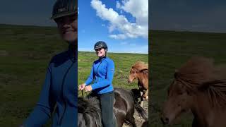 Lets Ride In Iceland  🇮🇸 🐴 iceland horses [upl. by Eelana819]