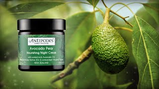 Avocado Pear Nourishing Night Cream HowTo [upl. by Madra595]