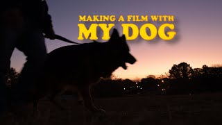 Making a FILM with my DOG Nikon Z6III 24Hour Shortfilm Challenge [upl. by Ahsimal]