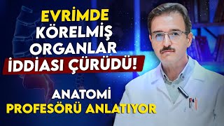 Evrimde Körelmiş Organlar İddiası Çürütüldü Tartışmalara son verecek video Prof Dr Hakan Atalgın [upl. by Nerha]