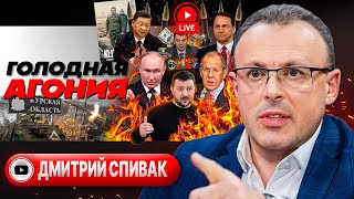 🤜🤛 НАЧАЛСЯ БОЛЬШОЙ ЗАМЕС Зеленский отшил ЧУЖИЕ планы Курские дебри Польша грозит Украине  Спивак [upl. by Jempty]