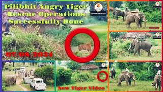 Pilibhit Tiger Rescue Operations Successfully Done Today😡🐅🙏wildanimals pilibhit tiger viralvideo [upl. by Seem174]