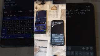Linux environment on iOSAndroid Termux iSH netcat [upl. by Lairret]