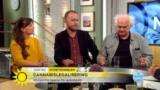 Nyhetspanelen om cannabislegalisering  Nyhetsmorgon TV4 [upl. by Mctyre]