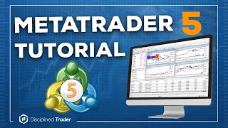 Complete MetaTrader 5 Tutorial For Beginners  2024 Edition [upl. by Gnad460]