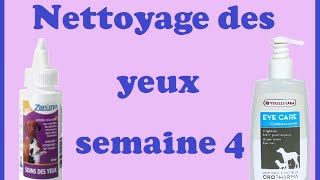 Nettoyage des yeux semaine 4 [upl. by Atnim95]