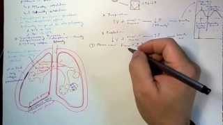 Respiratory Physiology [upl. by Fritze633]