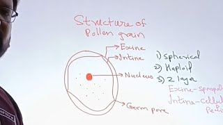 Structure of Pollen grain  Pravin Sirs Biology [upl. by Adall]