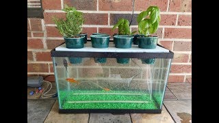 My DIY Aquaponics Aquarium Project [upl. by Ursi]