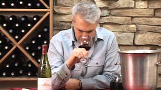 Chateauneuf du Pape 2010 Andre Brunel [upl. by Sila]