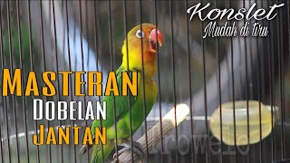 Masteran JANTAN konslet dobelan mudah di tiru [upl. by Koy658]